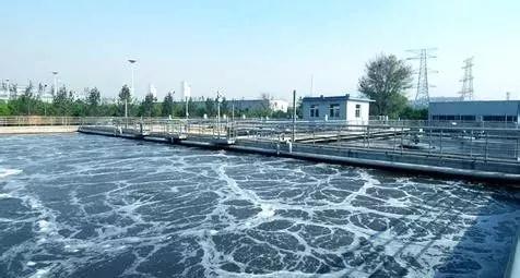 污泥处理 污泥处理